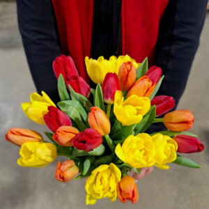 Kotimaiset 8 kpl tulppaaniniput omasta tuotannostamme tammikuusta huhtikuulle