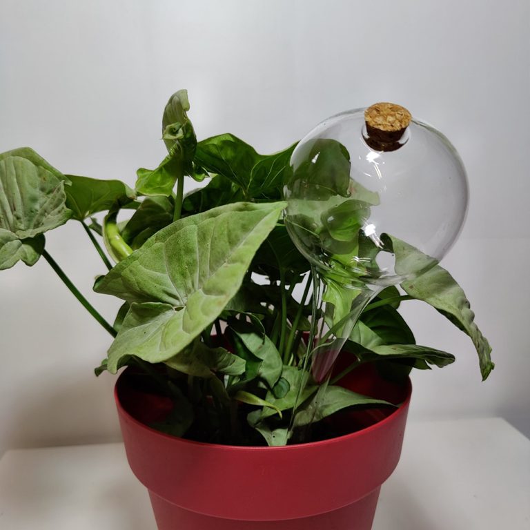 Lasinen lomakastelija on oiva kasteluapu esimerkiksi loman tai viikonloppureissun aikana