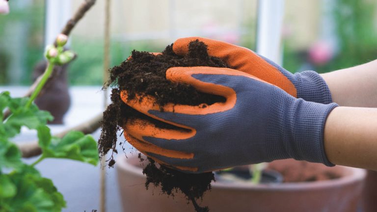 Kevät on mullanvaihdon ja kylvämisen aikaa, meiltä Nelson Gardenin vihannesten, yrttien ja kesäkukkien siemenet, kesäkukkien pistokkaat ja esikasvatustarvikkeet