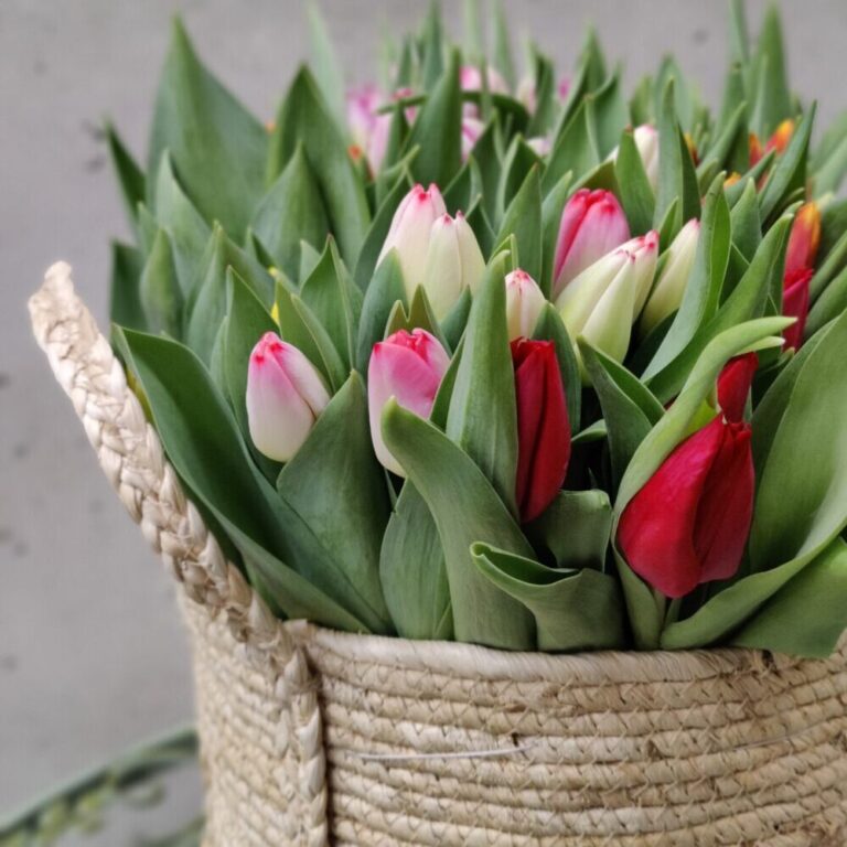 Kotimaiset 10 kpl tulppaaniniput omasta tuotannostamme tammikuusta huhtikuulle ja joulukuussa