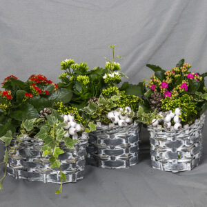 Soikeassa puukorissa kotimainen tulilatva sekä mähkä ja muratti ja koristeet. Kolme värivaihtoehtoa!