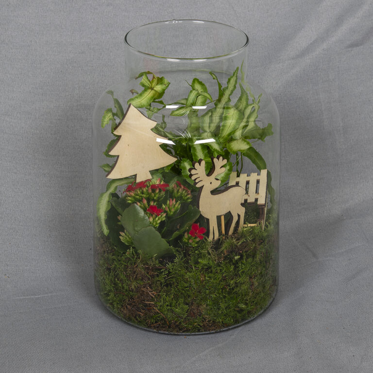 Lasipurkissa kiva joulumaailma, jossa punainen minitulilatva ja sanikka, koristeet ja sammalta