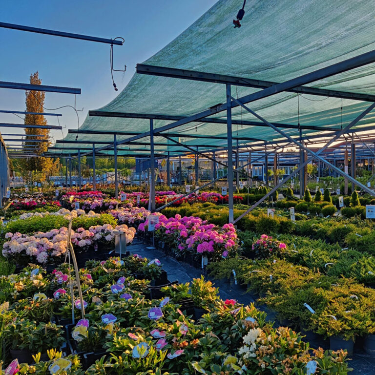 Pirilän Kukkatalon taimikausi avataan huhtikuun puolivälissä ja se jatkuu lokakuun puoliväliin saakka