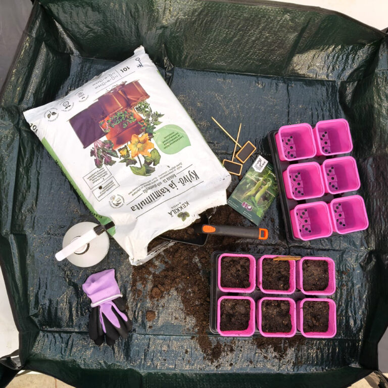 Esikasvatuksen siemenkylvöt voi aloittaa heti vuoden alussa