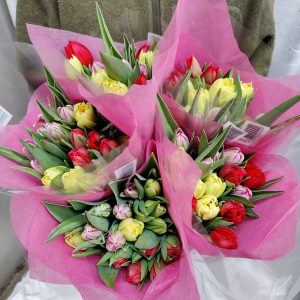 Komea kotimainen 15 kpl tulppaaninippu sekaväreillä