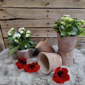 Kaunis ruskea patinoitunut 15 cm saviruukku koristerunalla