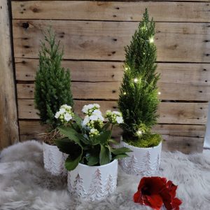 Kaunis valkoinen suojaruukku koristeenaan valkoisia kuusia