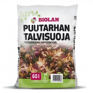 Puutarhan arkojen kasvien kuten ryhmäruusujen