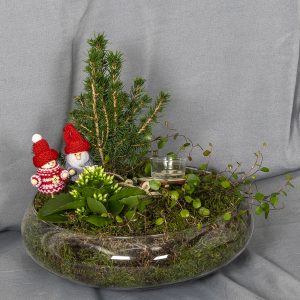 Upea jouluinen istutus lasimaljassa