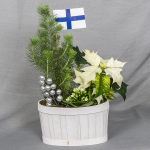 Juhlava sinivalkoinen istutus valkoisessa lastukorissa