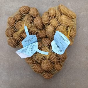 Kotimainen laadukas siemenperuna 1 kg pussissa Timo