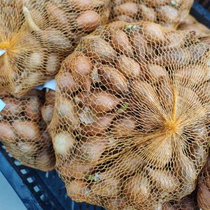 Laadukkaat istukassipulit punasipuli