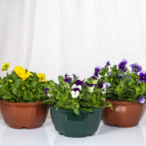 Keväiset orvokit ruskeassa tai vihreässä muovikulhossa