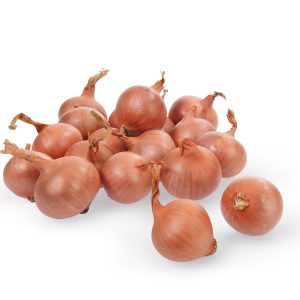 Laadukkaat istukassipulit punasipuli