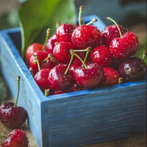 Laadukkaat hedelmäpuumme tulevat kotimaisilta taimistoilta