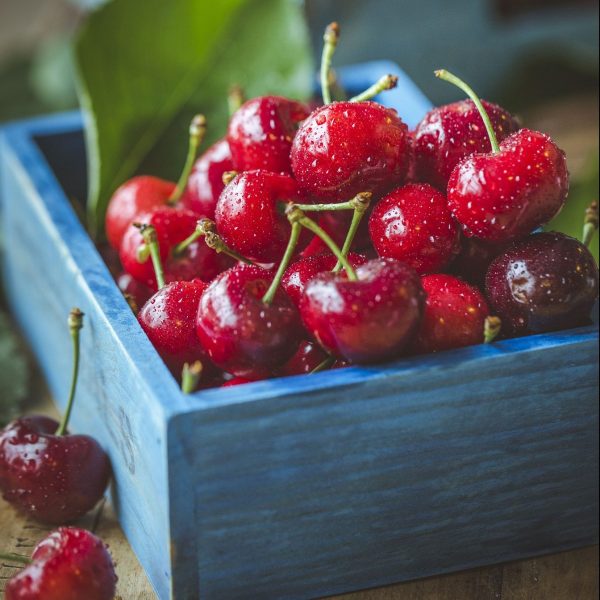 Laadukkaat hedelmäpuumme tulevat kotimaisilta taimistoilta