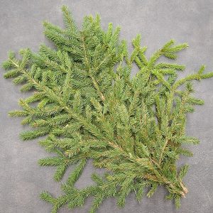 Tuotekuvassa havunippu kuusi