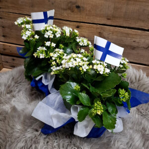 Kotimainen valkoinen tulilatva sinisessä ja valkoisessa kuitukankaassa, koristeena suomen lippu