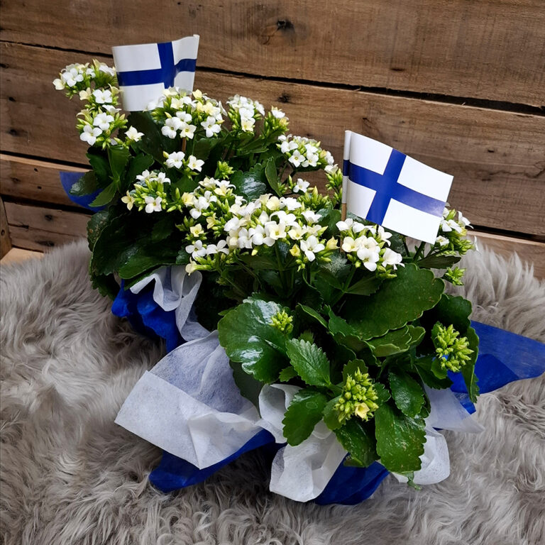 Kotimainen valkoinen tulilatva sinisessä ja valkoisessa kuitukankaassa, koristeena suomen lippu