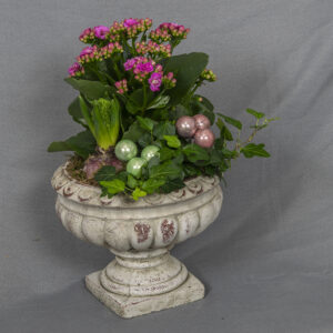 Jalallisessa antiikkiruukussa kotimainen pinkki hyasintti sekä pinkki tulilatva ja muratti, koristeet