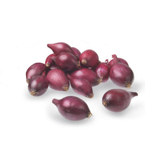 Punasipuli Red Baronin istukassipuleita