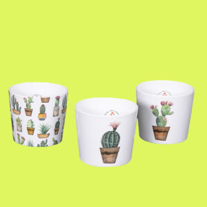 Kivat keraamiset Cactus Garden suojaruukut kaktuksille ja mehikasveille