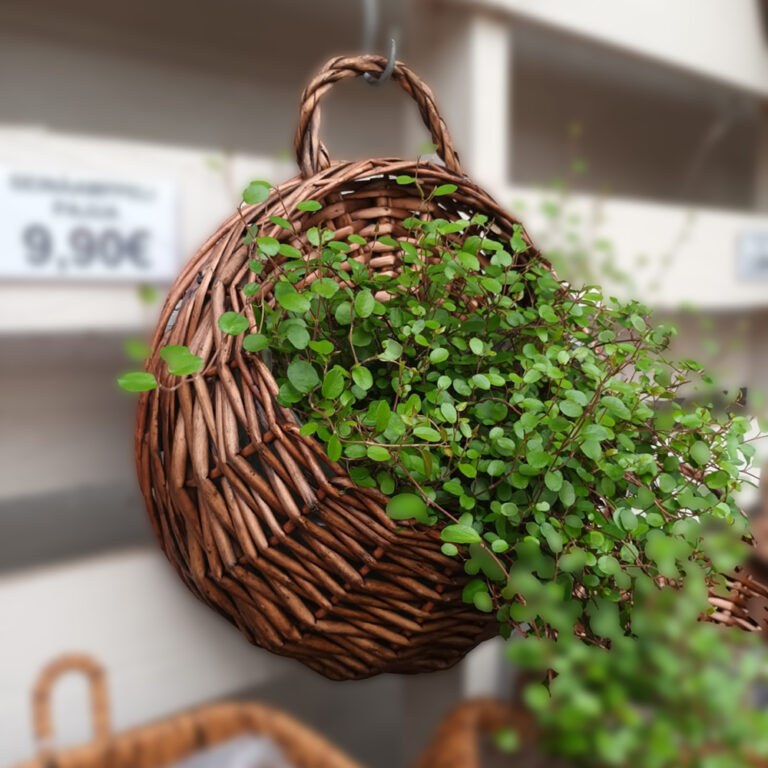 Ruskea korinmallinen seinäamppeli pajua, halkaisija 30 cm