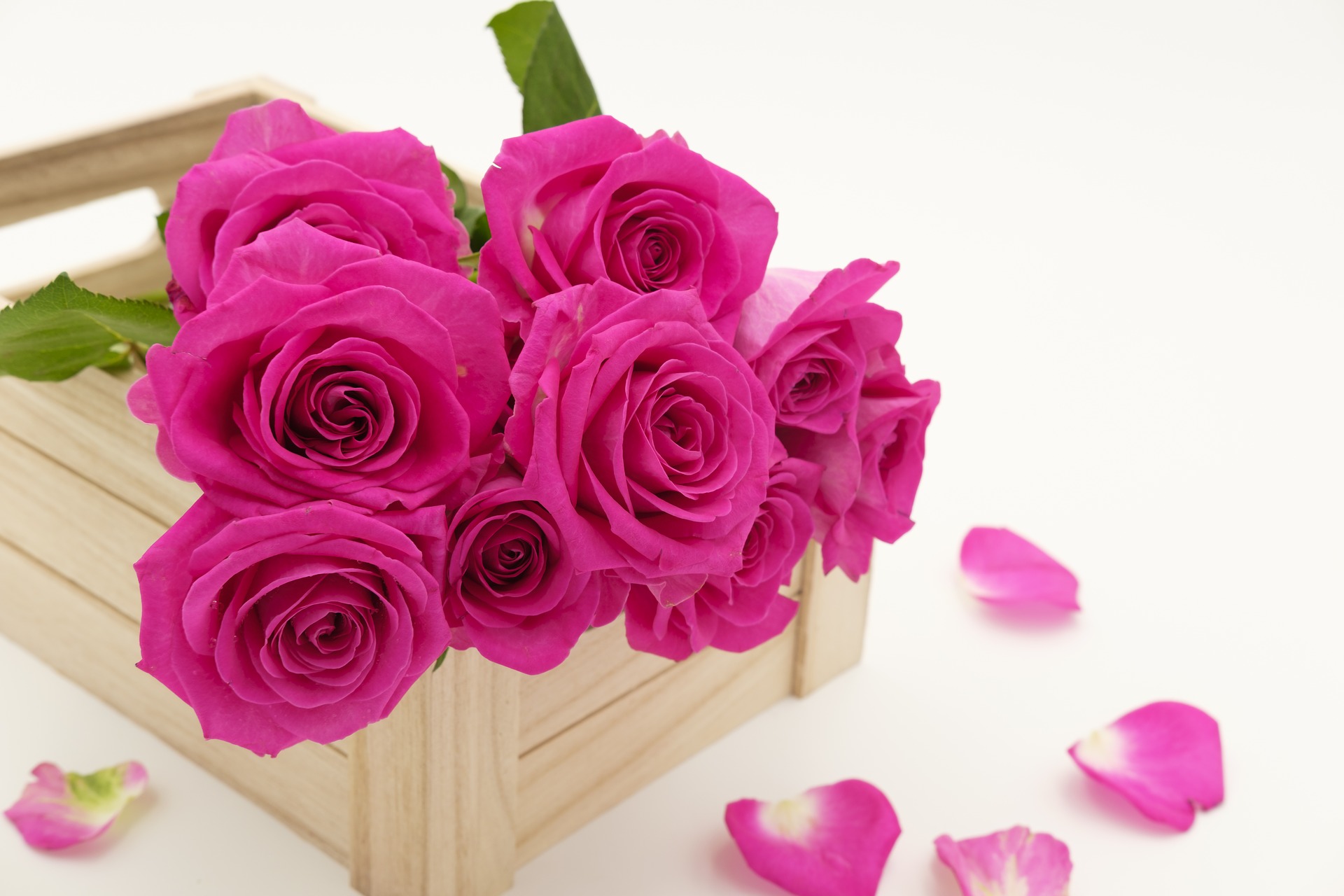 Naistenpäivänä 8.3. on mukava huomioida lähipiirinsä naisia ihanilla kukkalahjoilla mm. ruusuilla, kimpuilla, valmiilla istutuksilla tai ruukkukukilla